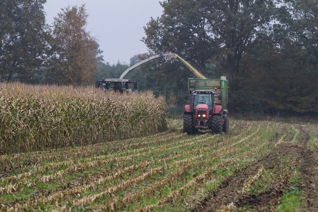 Bild 135 - Biogas am 21.10.12